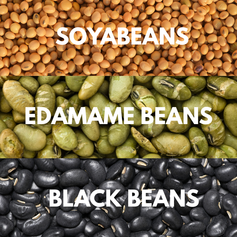 Protein Bean  Mix 200gm | Roasted High Protein Snack |